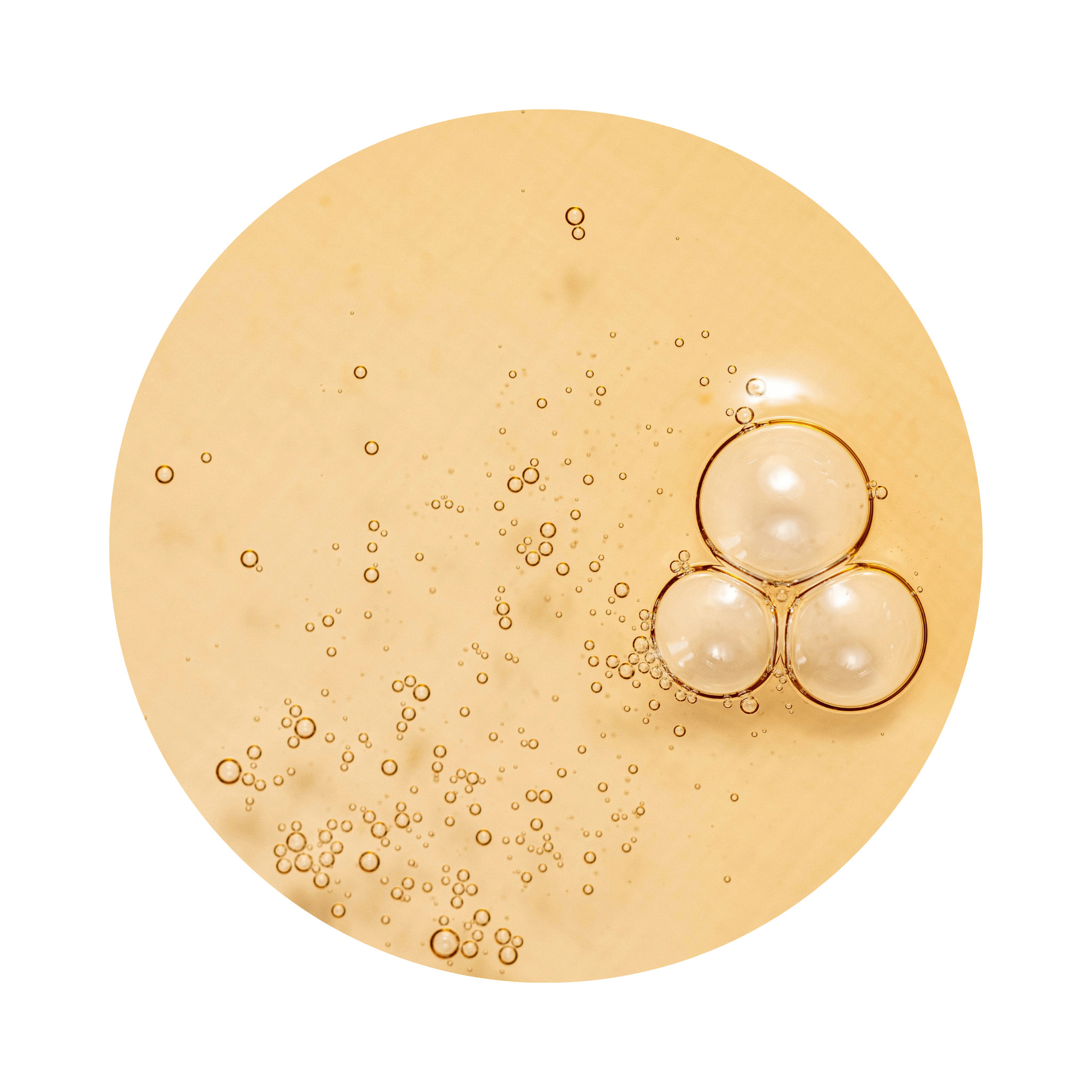 Beauty of Joseon Ginseng Essence Water (150 ml)